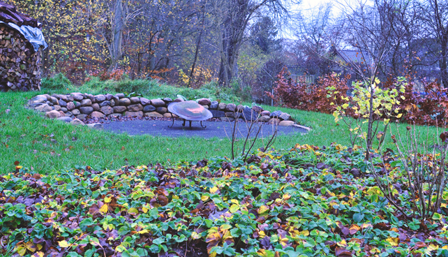 Bålsted, bålplads, natursten, skovjordbær