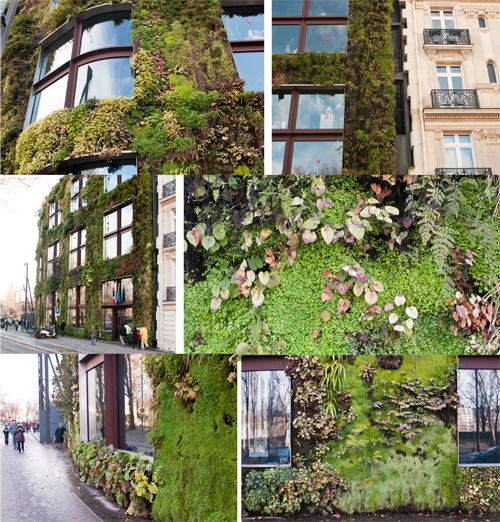 Plantevæg. Quai Branly Museum. Paris.  Arkitekt Jean Nouvel. Botaniker Patrick BlancFoto af Julie Trier